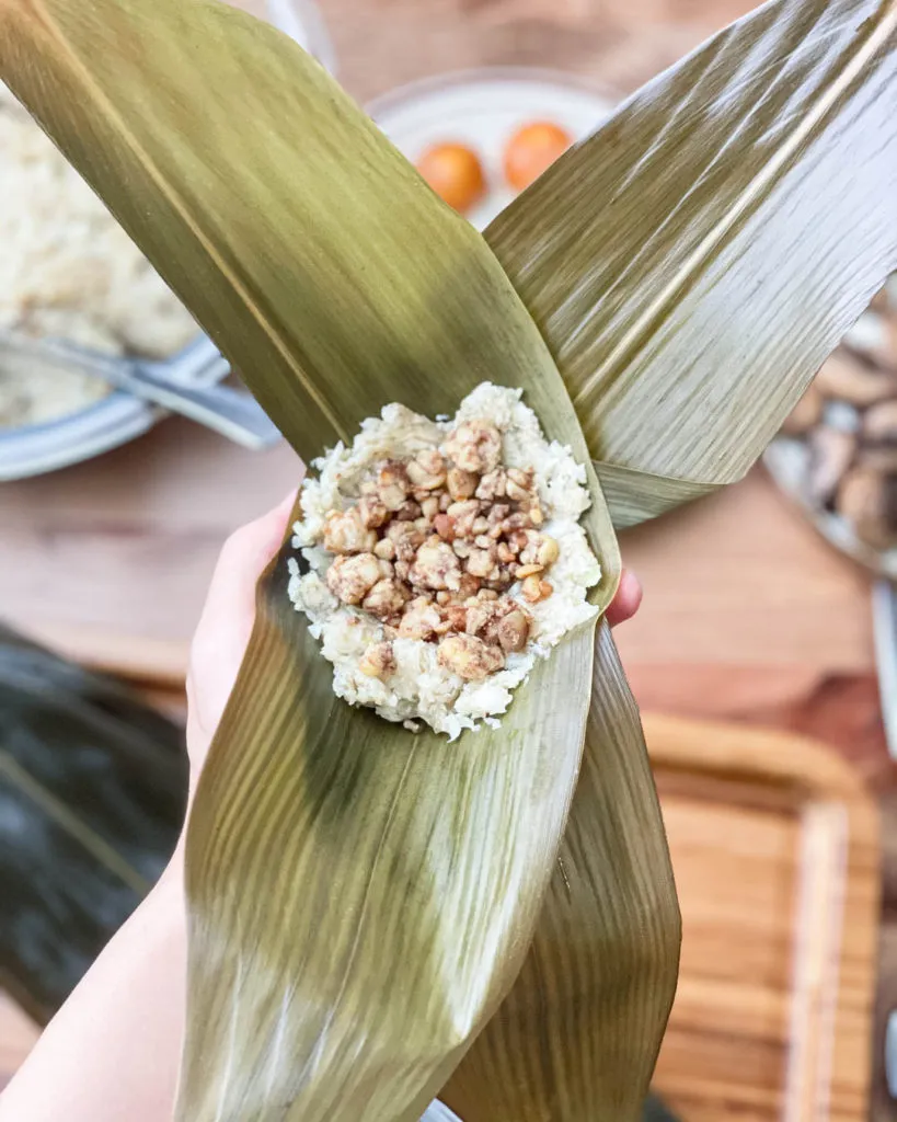 tempeh in rice dumplings